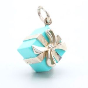 Authentic Tiffany & Co Blue Box Charm Necklace